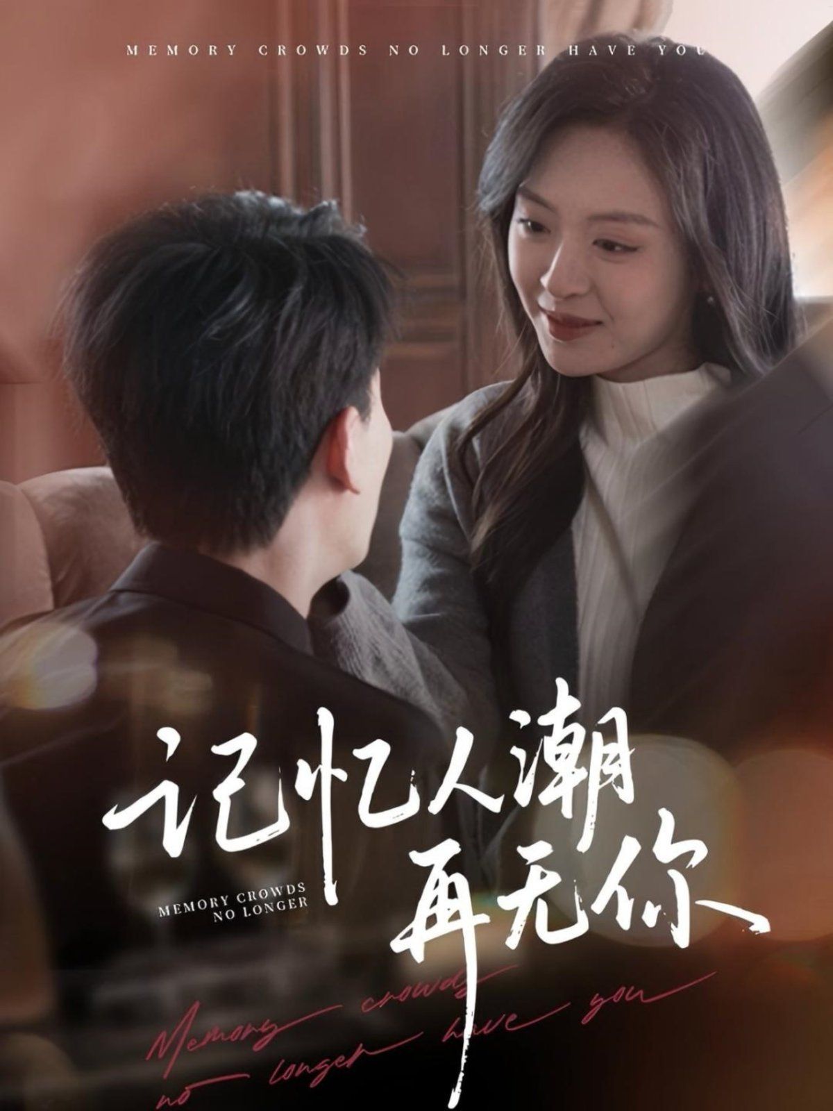 记忆人潮再无你海报